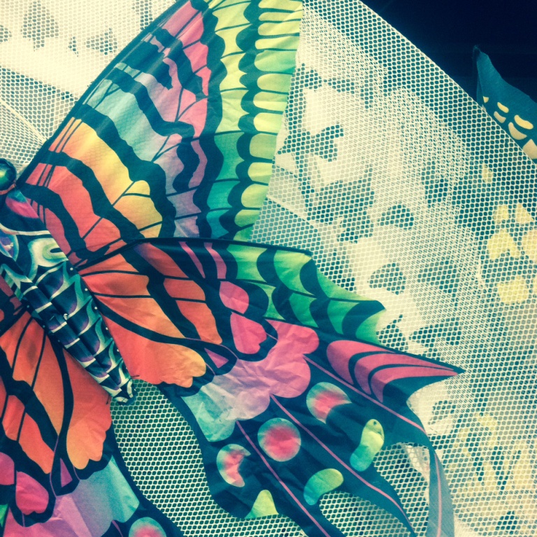 oklahoma state fair butterfly house