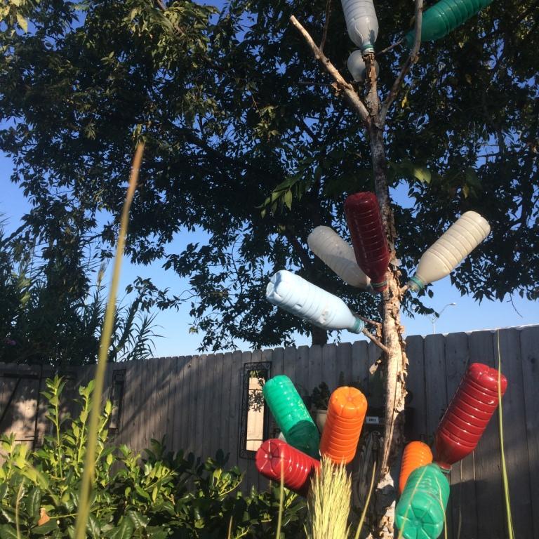 While everyone else is adding glass bottle trees to their landscape, Freddie has added a painted plastic bottle tree to his backyard, and I love it!! So whimsical.